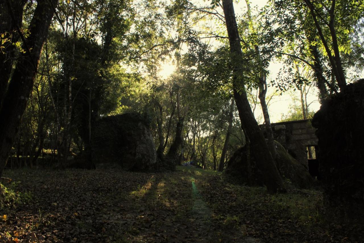 5ª D'azenha - River And Nature *