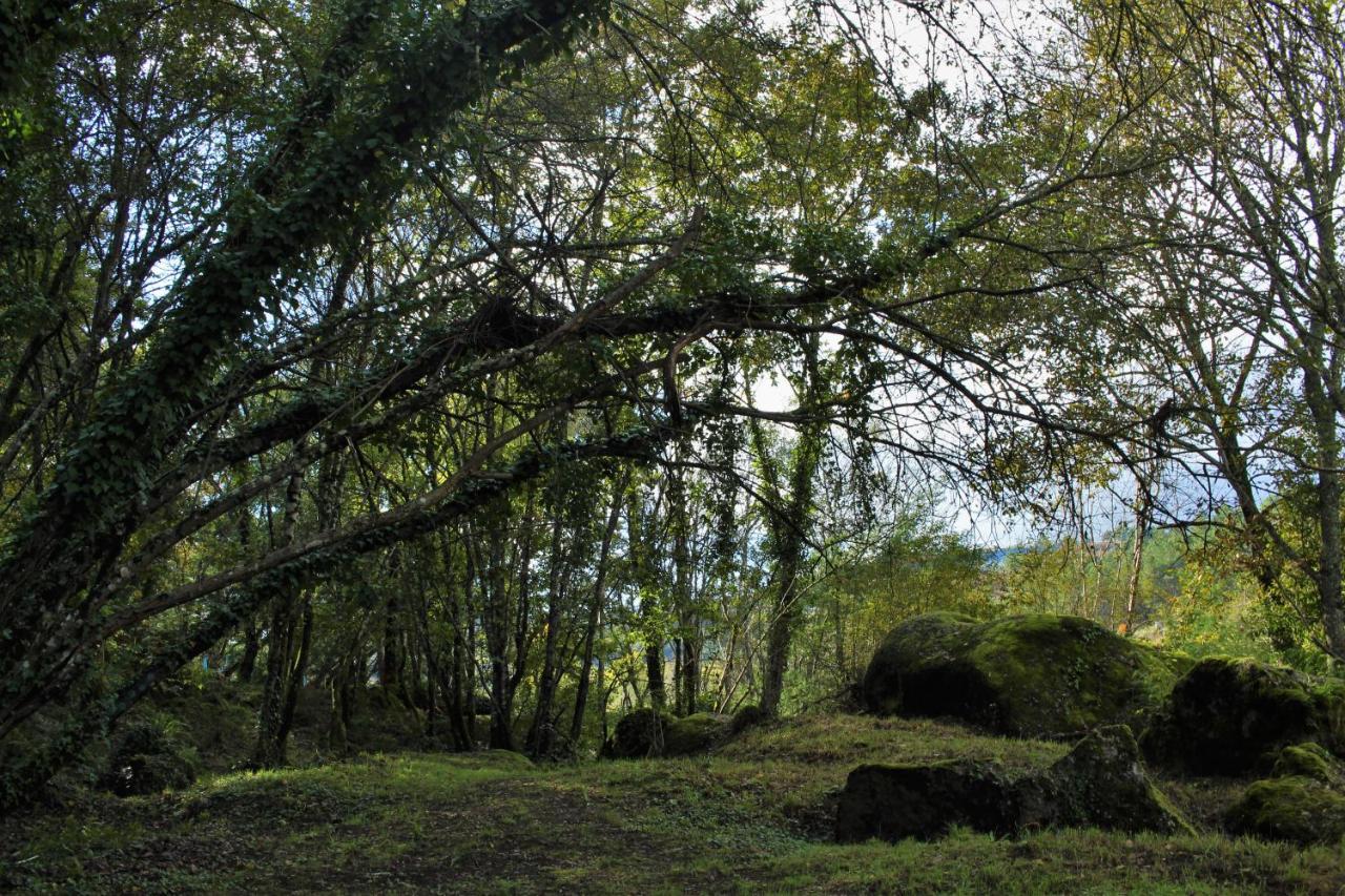 5ª D'azenha - River And Nature